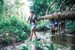 BIB: 
                            <button type="button" onclick="openModal(25435663)" class="btn btn-primary btn-sm float-right btn-popup" data-toggle="modal" data-target=".modal-high-quality">
                        <i class="fas fa-shopping-cart"></i> Add to Cart
                    </button>
                                            <button type="button" onclick="isThisMe(25435663, true)" class="btn btn-success btn-sm float-right btn-popup btn-isme hidden" data-toggle="tooltip" data-placement="bottom" title="นี่คือรูปของคุณใช่ไหม คลิกที่นี่เพื่อเอาเข้าอัลบั้ม">
                        <i class="fas fa-plus"></i> Add to album
                    </button>
                    <button type="button" onclick="isThisMe(25435663, false)" class="btn btn-warning btn-sm float-right btn-popup btn-isnotme hidden">
                        <i class="fas fa-ban"></i> Remove from album
                    </button>